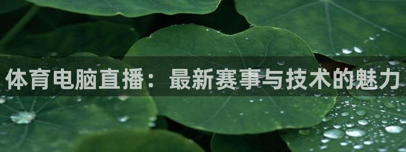 说球帝官网入口：体育电脑直播：最新赛事与技术的魅力