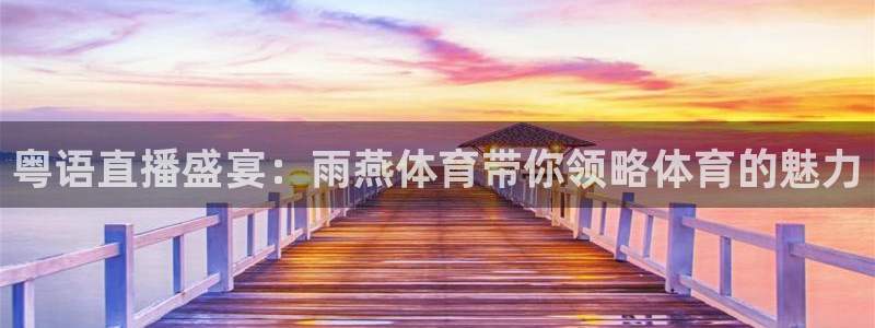 说球帝在线直播观看篮球赛：粤语直播盛宴：雨燕体育带你领略体育的魅力
