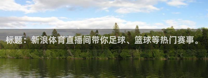 说球帝g联赛：标题：新浪体育直播间带你足球、篮球等热门赛事。