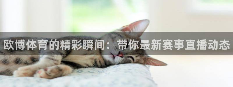 说球帝官网入口：欧博体育的精彩瞬间：带你最新赛事直播动态