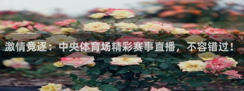 说球帝免费nba直播高清：激情竞逐：中央体育场精彩赛事直播，不容错过！
