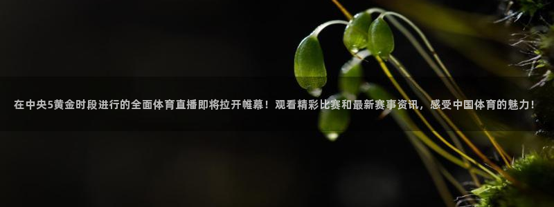 说球帝冠希nba直播：在中央5黄金时段进行的全面体育直播即将拉开帷幕！观看精彩比赛和最新赛事资讯，感受中国体育的魅力！