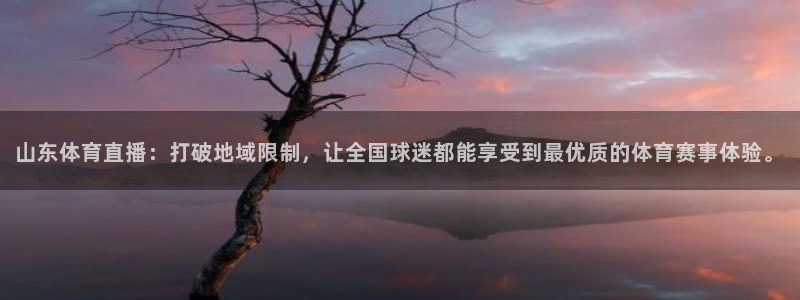 说球帝直播在线观看免费：山东体育直播：打破地域限制，让全国球迷都能享受到最优质的体育赛事体验。