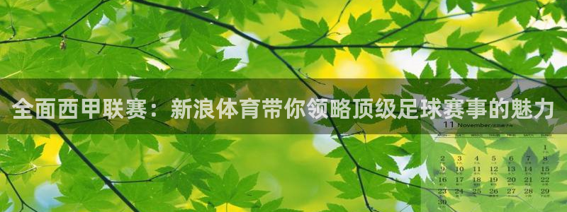 说球帝快直播：全面西甲联赛：新浪体育带你领略顶级足球赛事的魅力