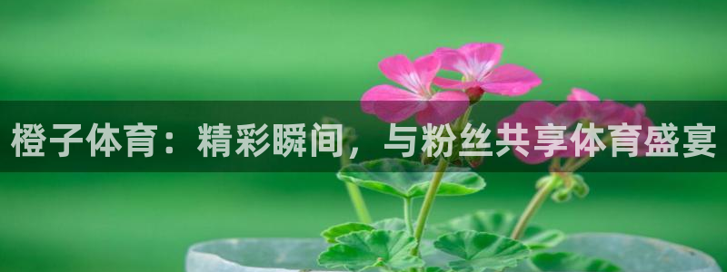 说球帝足球篮球五大联赛：橙子体育：精彩瞬间，与粉丝共享体育盛宴