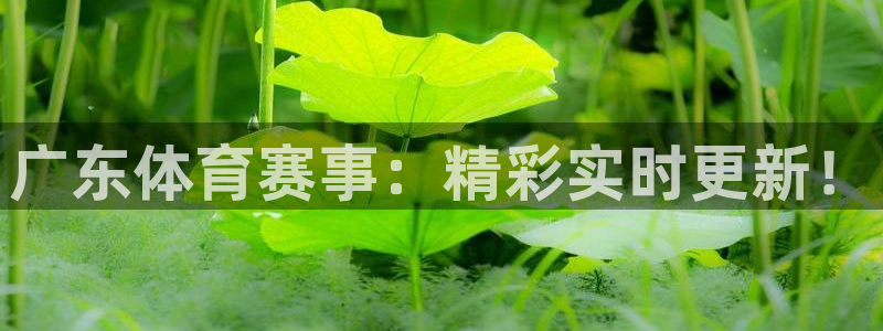 说球帝nba直播在线观看免费app：广东体育赛事：精彩实时更新！