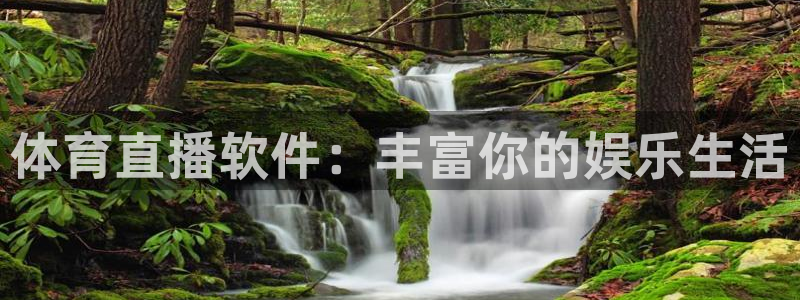 篮球直播说球帝：体育直播软件：丰富你的娱乐生活